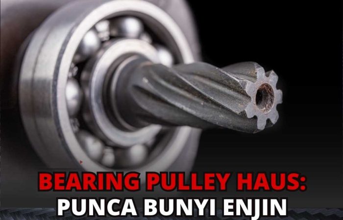 Bearing pulley haus